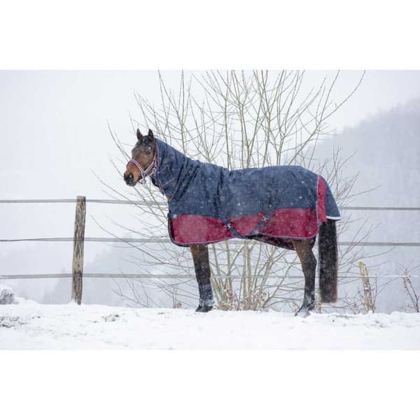 Equitheme Äänestysmäärä Matto Combo Tyrex 1200 D Polyfil 350g Sininen 175-125 cm