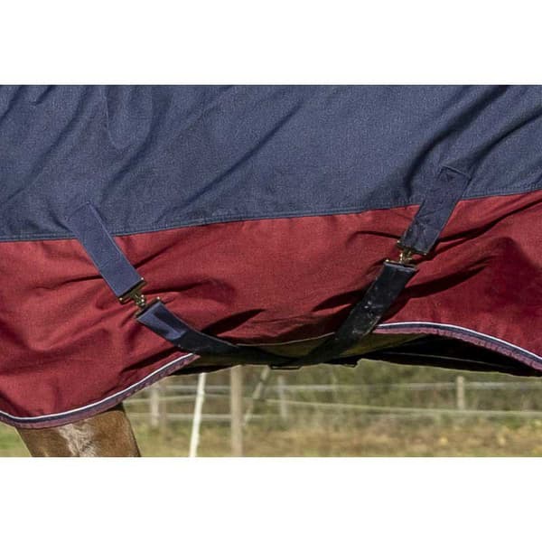 Equitheme Äänestysmäärä Matto Combo Tyrex 1200 D Polyfil 350g Sininen 175-125 cm
