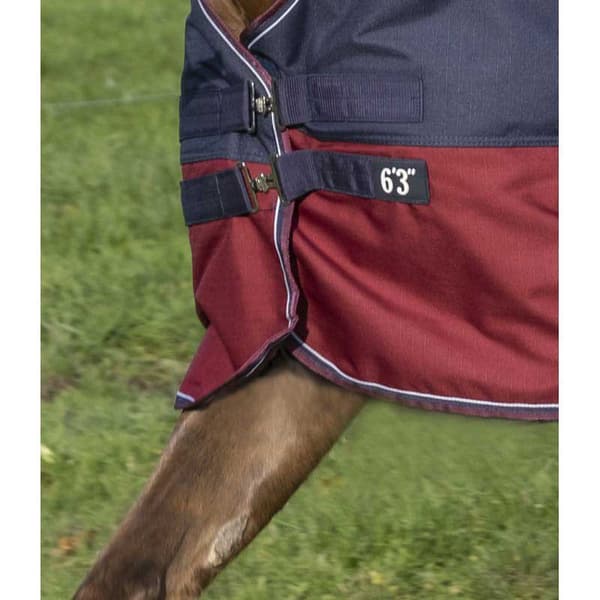 Equitheme Hög Hals Valdeltagande Matta Tyrex 1200 D Polyfil 50g Blå 215-165 cm