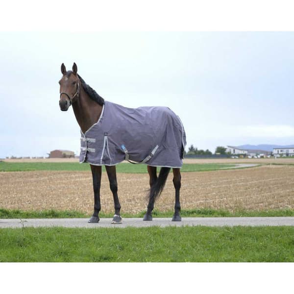 Equitheme Återvunnet Valdeltagande Matta Tyrex 1200 D Polyfil 50g Brun 183-135 cm