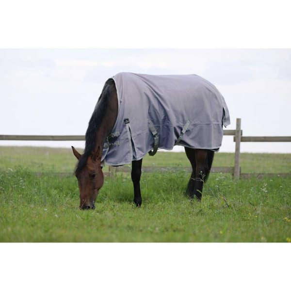 Equitheme Återvunnet Valdeltagande Matta Tyrex 1200 D Polyfil 50g Brun 183-135 cm