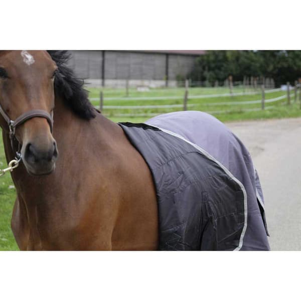 Equitheme Återvunnet Valdeltagande Matta Tyrex 1200 D Polyfil 50g Brun 183-135 cm