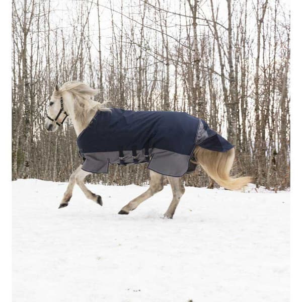 Equitheme Valdeltagande Matta Tyrex 600 D Belly Belt Polyfil 300g Blå 175-125 cm