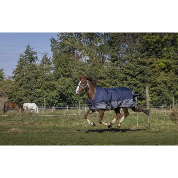 Equitheme Vuorattu Äänestysmäärä Matto Polar Tyrex 600 D Sininen 206-155 cm