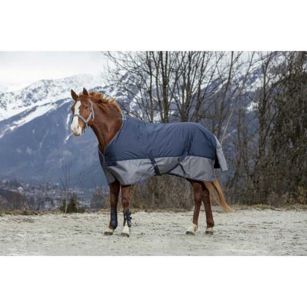 Equitheme Vuorattu Äänestysmäärä Matto Polar Tyrex 600 D Sininen 206-155 cm