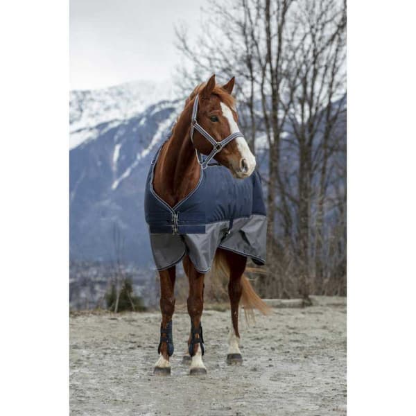 Equitheme Vuorattu Äänestysmäärä Matto Polar Tyrex 600 D Sininen 206-155 cm