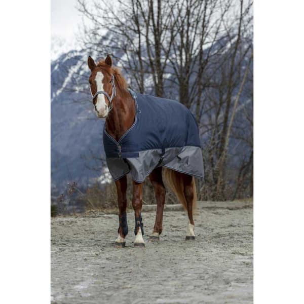 Equitheme Vuorattu Äänestysmäärä Matto Polar Tyrex 600 D Sininen 206-155 cm