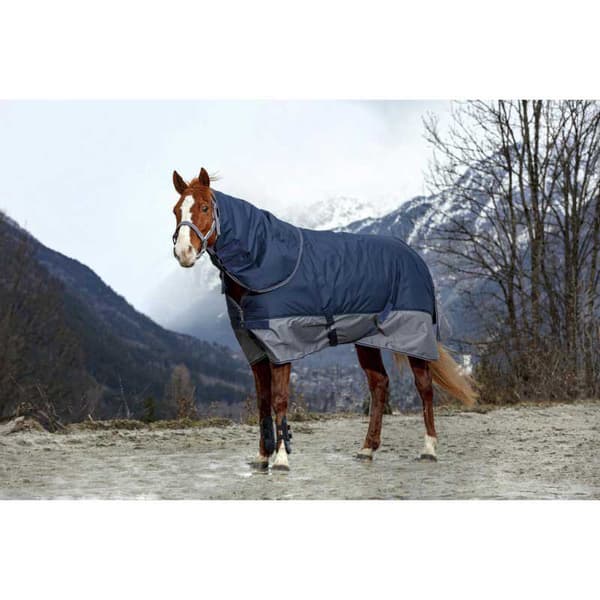 Equitheme Vuorattu Äänestysmäärä Matto Polar Tyrex 600 D Sininen 206-155 cm