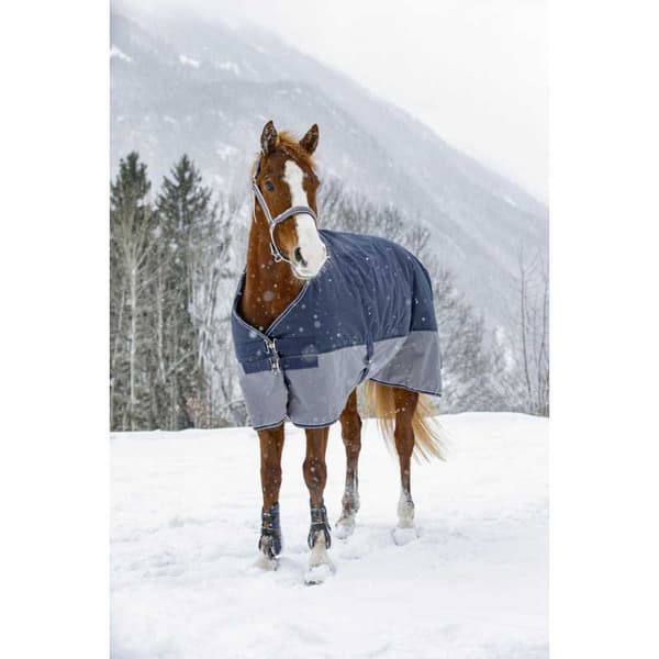 Equitheme Vuorattu Äänestysmäärä Matto Polar Tyrex 600 D Sininen 206-155 cm