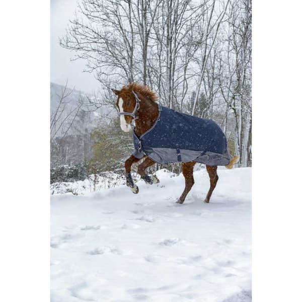 Equitheme Vuorattu Äänestysmäärä Matto Polar Tyrex 600 D Sininen 206-155 cm