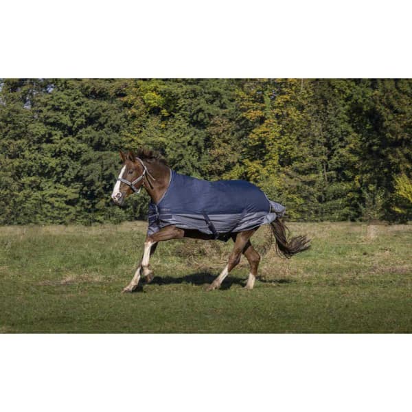 Equitheme Vuorattu Äänestysmäärä Matto Polar Tyrex 600 D Sininen 206-155 cm