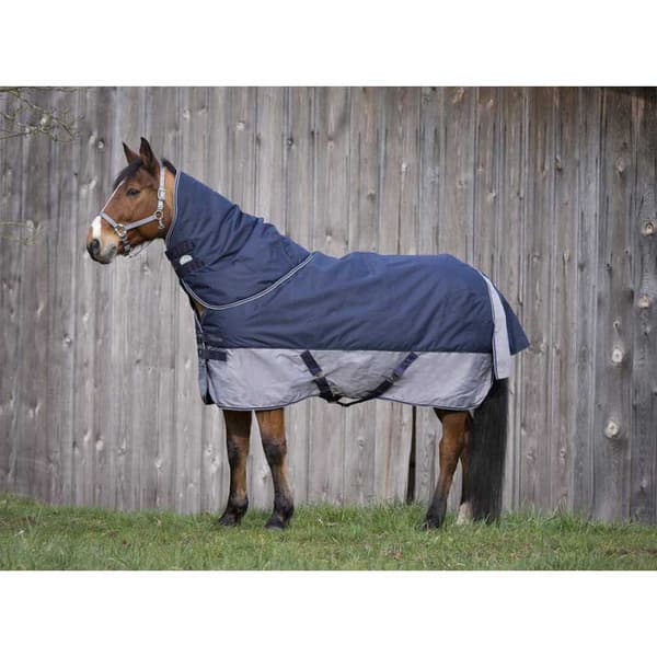 Equitheme Vuorattu Äänestysmäärä Matto Polar Tyrex 600 D Sininen 206-155 cm