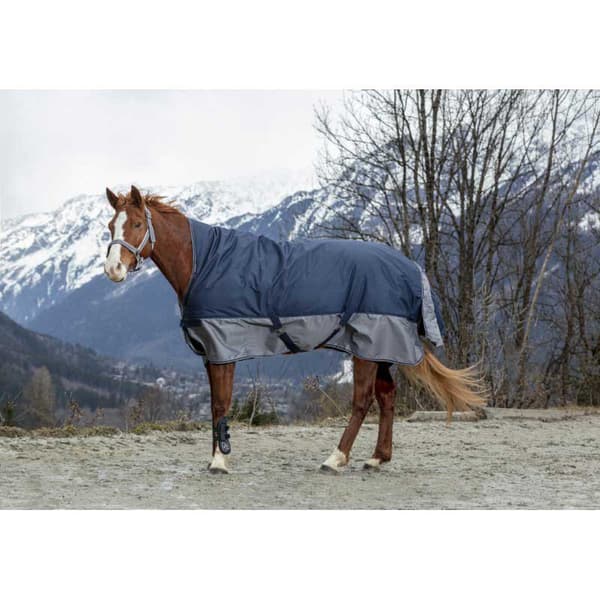 Equitheme Hög Hals Valdeltagande Matta Tyrex 600 D Polyfil 0g Blå 215-165 cm