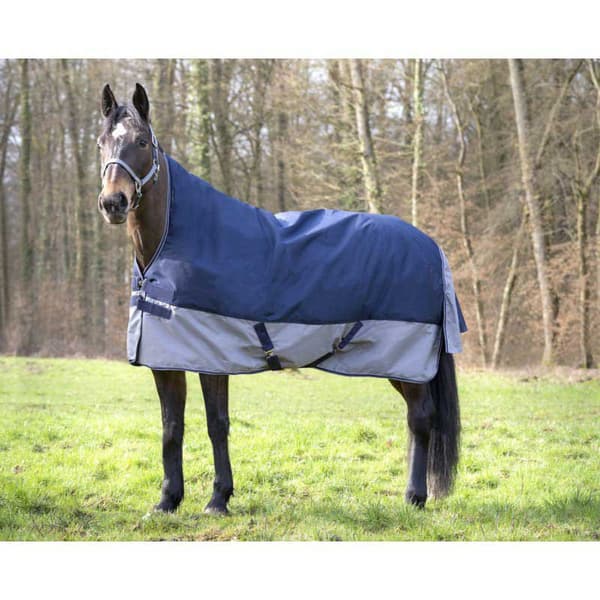 Equitheme Hög Hals Valdeltagande Matta Tyrex 600 D Polyfil 0g Blå 215-165 cm