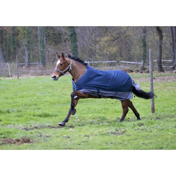 Equitheme Vakio Äänestysmäärä Matto Tyrex 600 D Polyfil 0g Sininen 206-155 cm