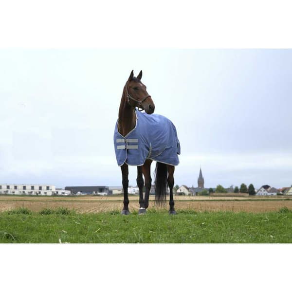 Equitheme Återvunnet Valdeltagande Matta Tyrex 600 D Polyfil 150g Blå 215-165 cm
