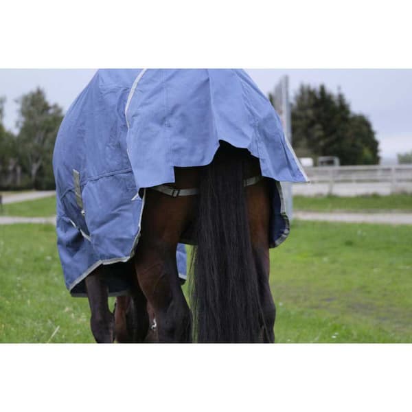 Equitheme Återvunnet Valdeltagande Matta Tyrex 600 D Polyfil 150g Blå 215-165 cm