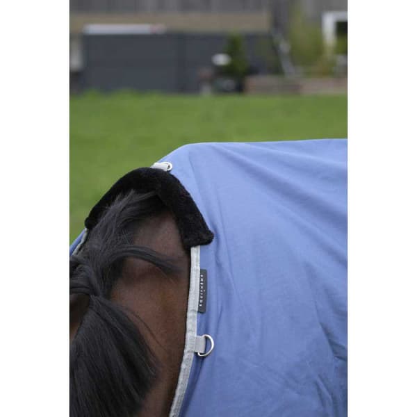 Equitheme Återvunnet Valdeltagande Matta Tyrex 600 D Polyfil 150g Blå 215-165 cm