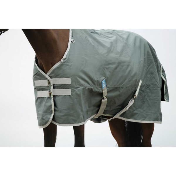 Equitheme Kierrätetty Äänestysmäärä Matto Tyrex 600 D Polyfil 300g Vihreä 198-150 cm