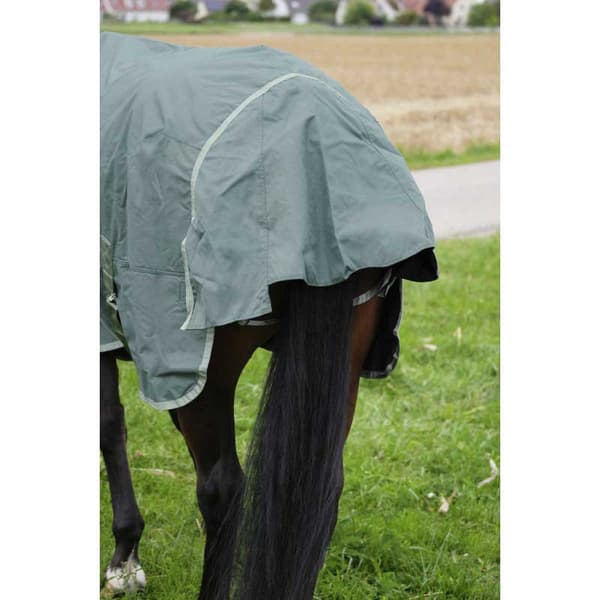 Equitheme Kierrätetty Äänestysmäärä Matto Tyrex 600 D Polyfil 300g Vihreä 198-150 cm