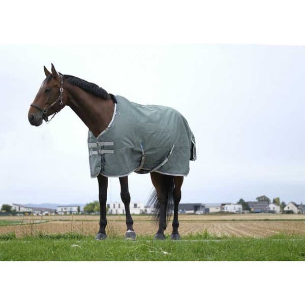 Equitheme Kierrätetty Äänestysmäärä Matto Tyrex 600 D Polyfil 300g Vihreä 198-150 cm