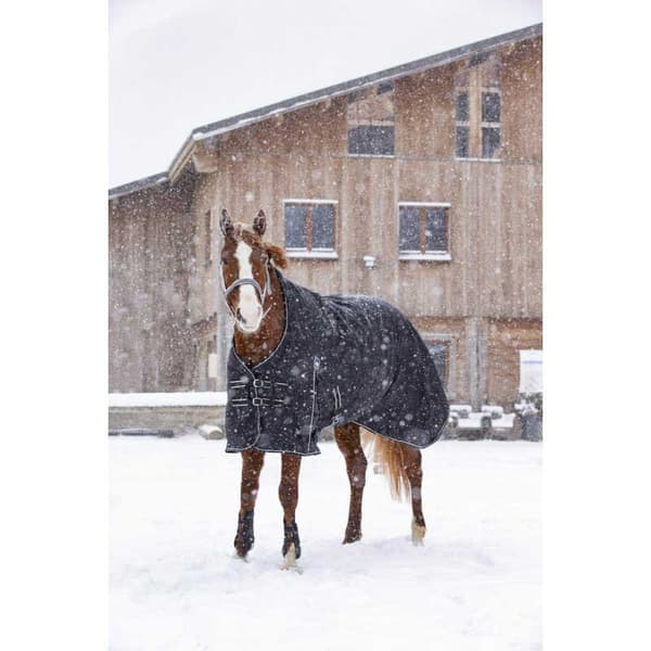 Riding World Äänestysmäärä Matto Impermeable Oxford Polyfil 220g Musta 183-135 cm