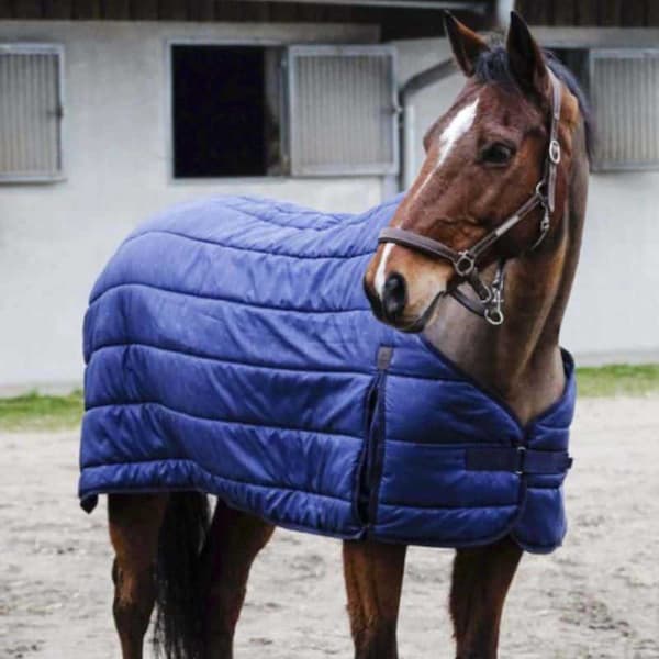 Equitheme Alalomake Classic 50g Sininen 6´6´´