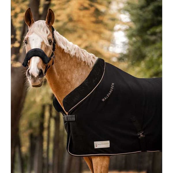 Waldhausen Äänestysmäärä Matto Modern Rosé Musta 155 cm