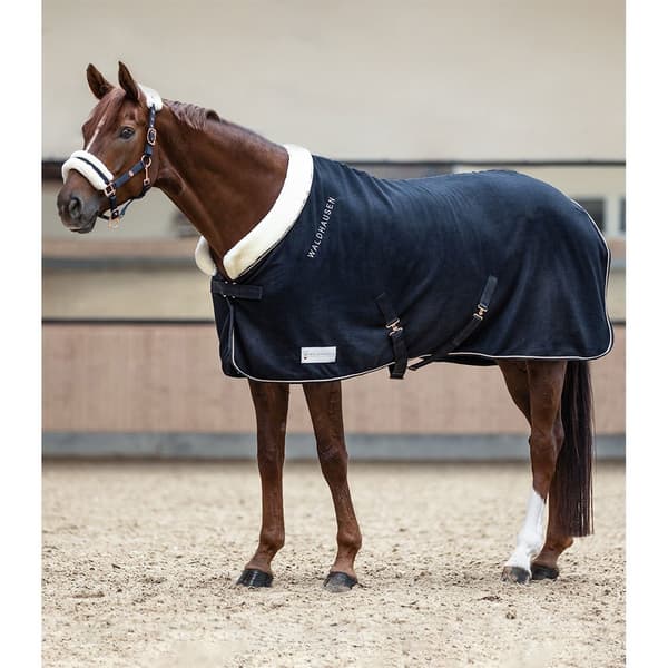 Waldhausen Äänestysmäärä Matto Modern Rosé Ruskea 155 cm