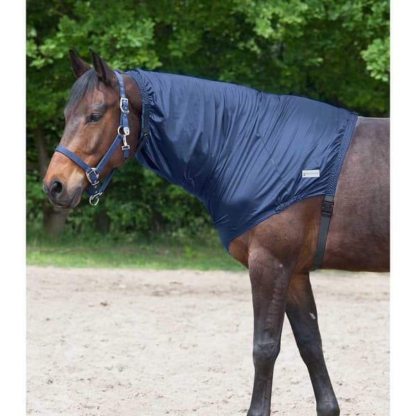 Waldhausen Nakkebeskytter Eczema Blå Pony