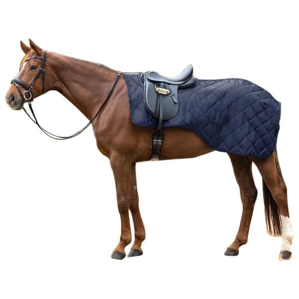 Waldhausen Harjoitusmatto Exclusive Sininen Pony