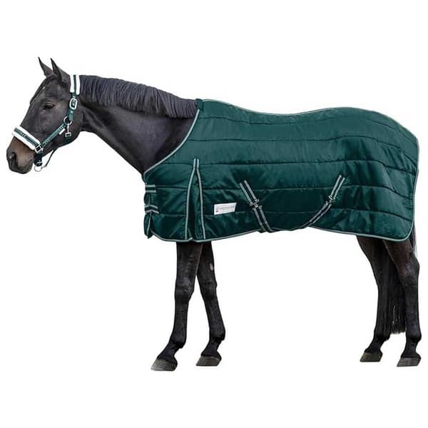 Waldhausen Stabilt Tæppe Economic 100g Grøn 135 cm