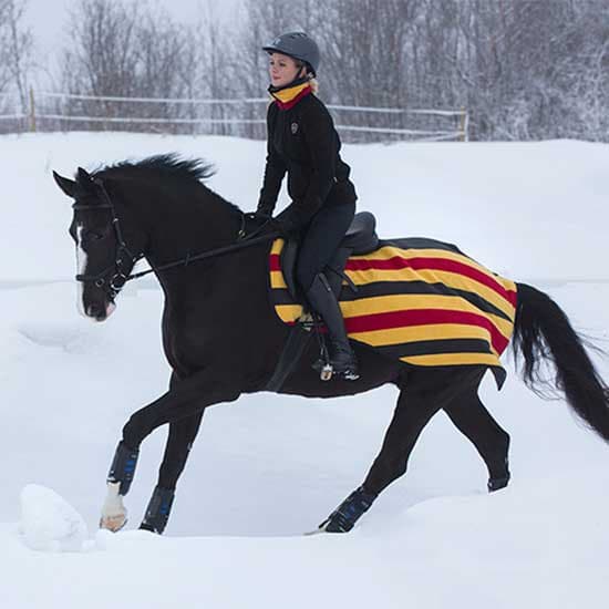 Rambo Fickmatta Competition Polar Flerfärgad L