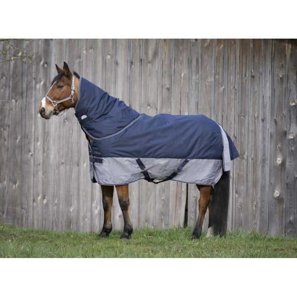 Equitheme Vakio Äänestysmäärä Matto Tyrex 600 D Polyfil 0g Sininen 175-125 cm