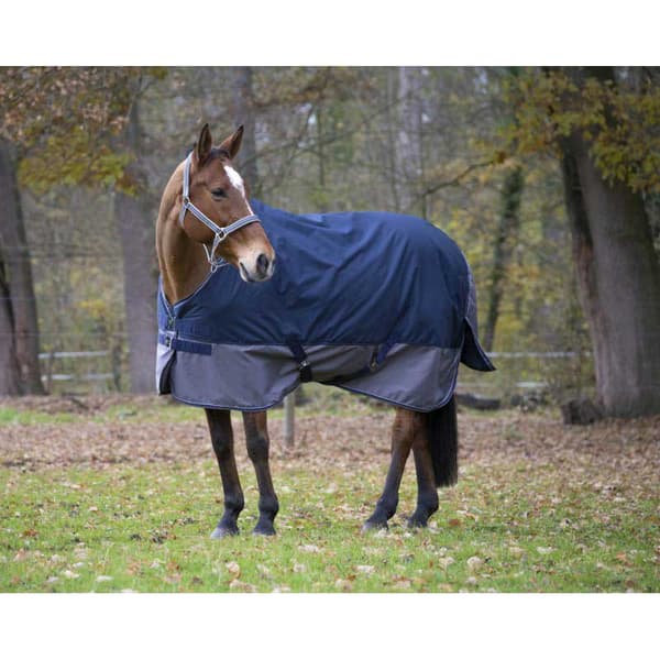 Equitheme Vakio Äänestysmäärä Matto Tyrex 600 D Polyfil 0g Sininen 175-125 cm