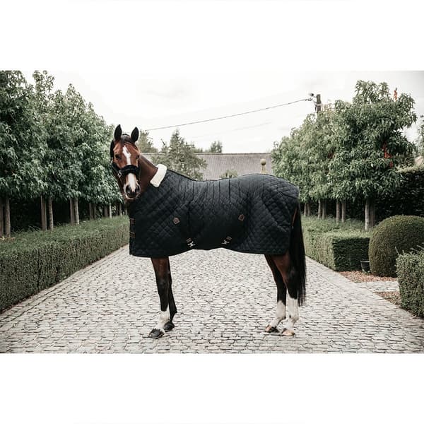 Kentucky Stabilt Tæppe 400g  145 cm