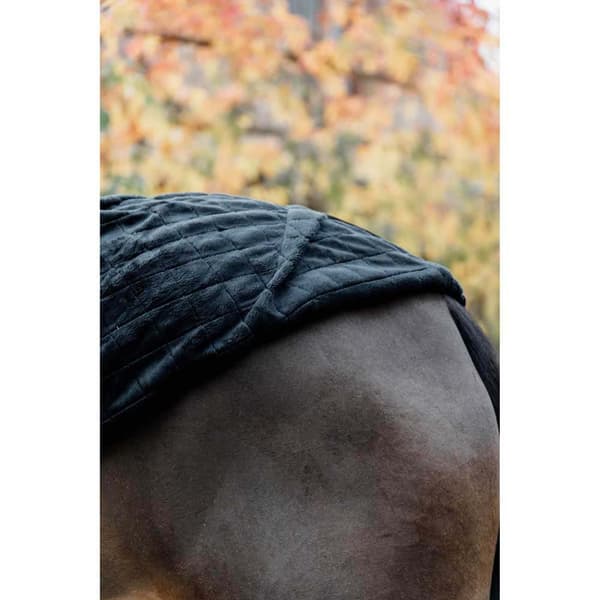 Kentucky Stabil Matta 0g 125 cm