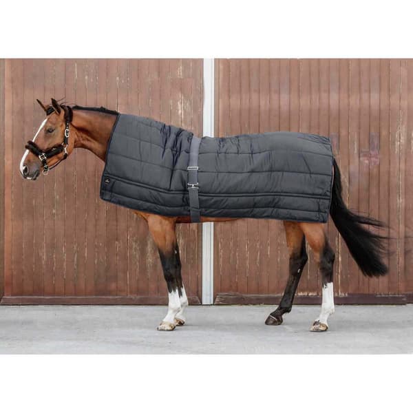 Kentucky Dyne 300g  200 x 180 cm