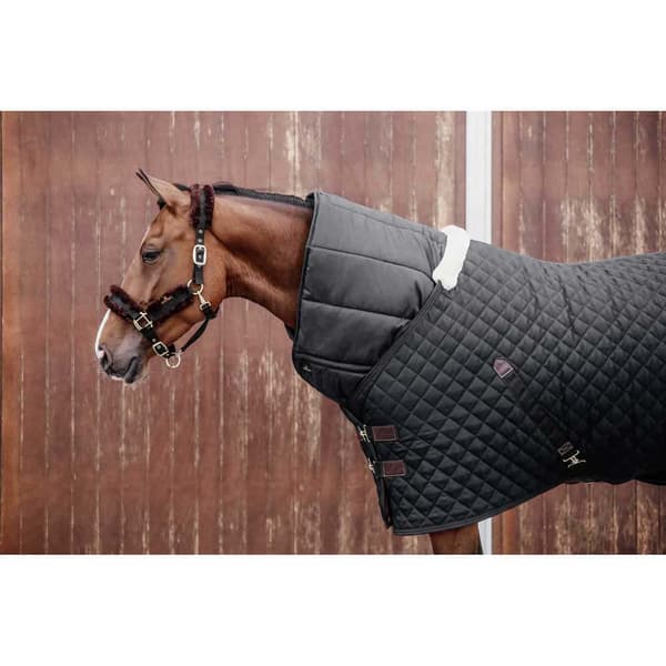 Kentucky Dyne 300g  200 x 180 cm