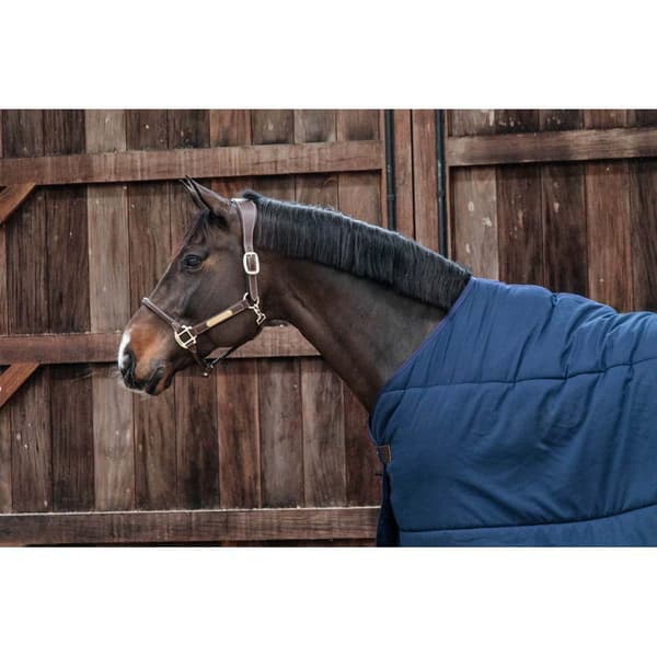 Kentucky Maton Alla Classic 100g  130 cm