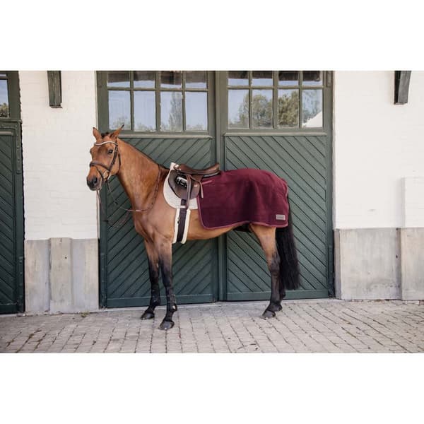 Kentucky Matta Heavy Fleece Quarter M