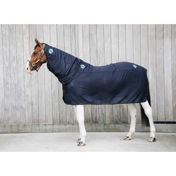 Kentucky Kaula Matto Recuptex  M