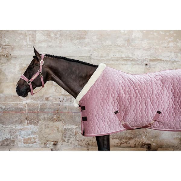 Kentucky Velvet Show-matto 160g Pinkki 145 cm