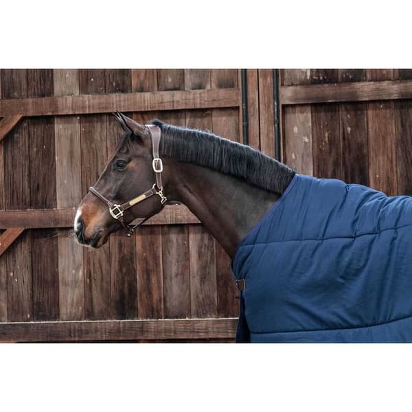 Kentucky Under Matta Classic 200g  160 cm