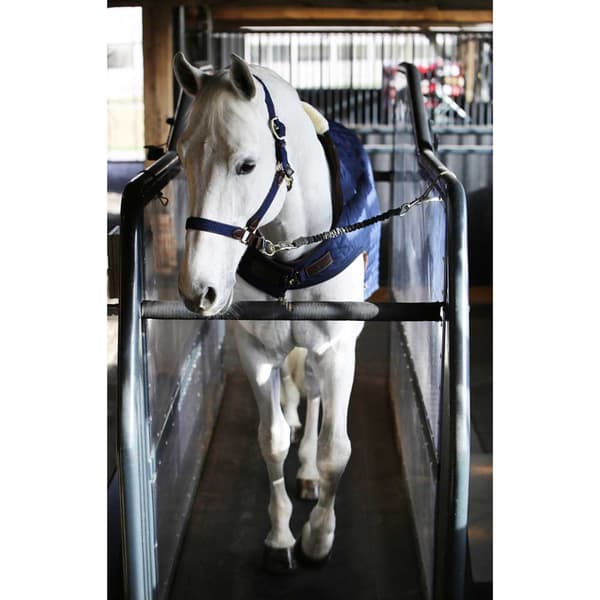 Kentucky Matto Walker 160g  140 cm