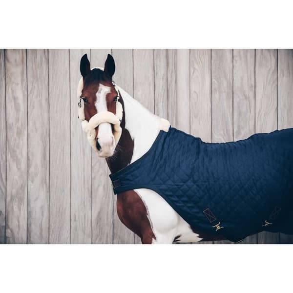 Kentucky Matto Walker 160g  145 cm