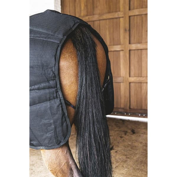Kentucky Stabil Matta Classic 300g  145 cm