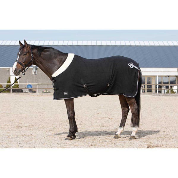 Harry´s Horse Champion Villamatto  165 cm