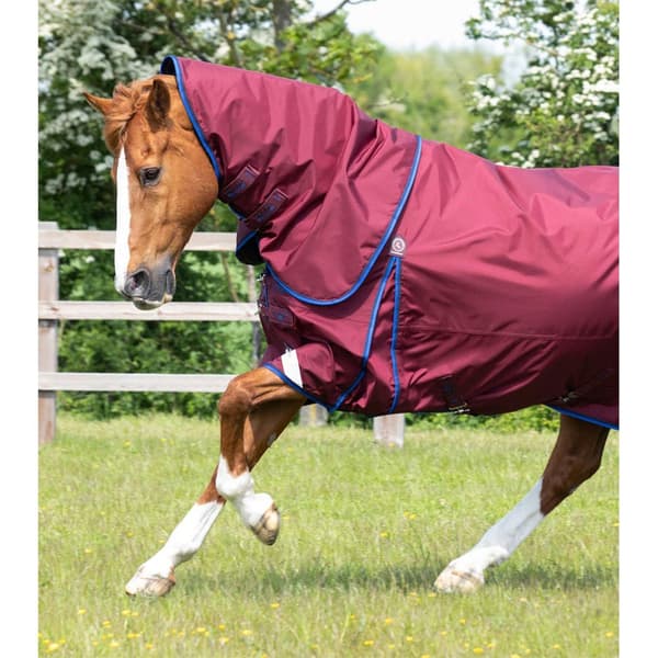 Premier Equine Buster 40g Classic Neck Cover Dækken  221 cm - L Neck