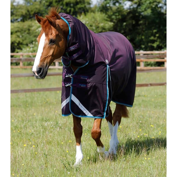 Premier Equine Buster Storm 100g Combo With Snug-fit Neck Täcke 206 cm